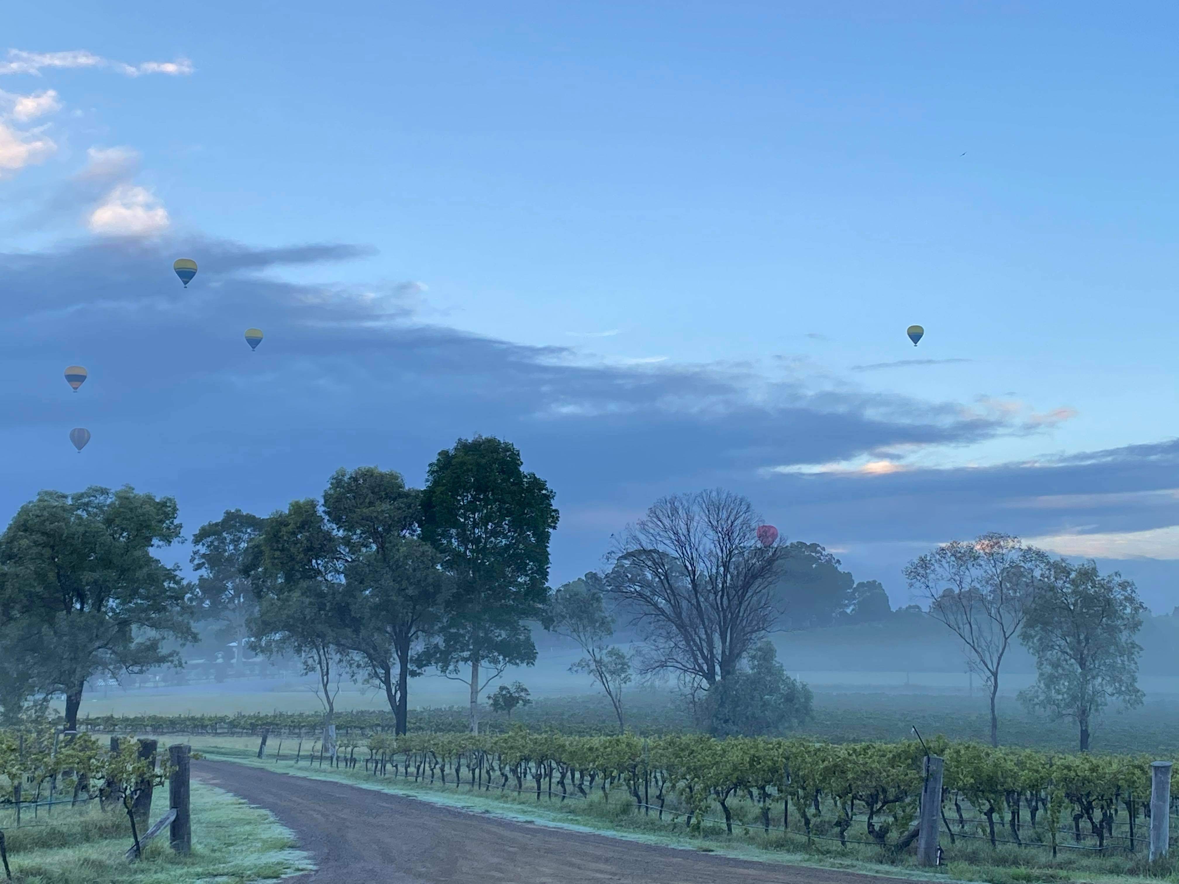 Hot air baloons over Blueberry Hill vineyard